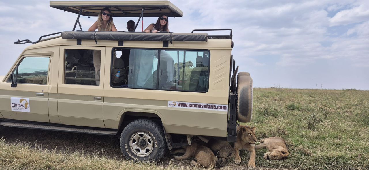 Safari Landscape